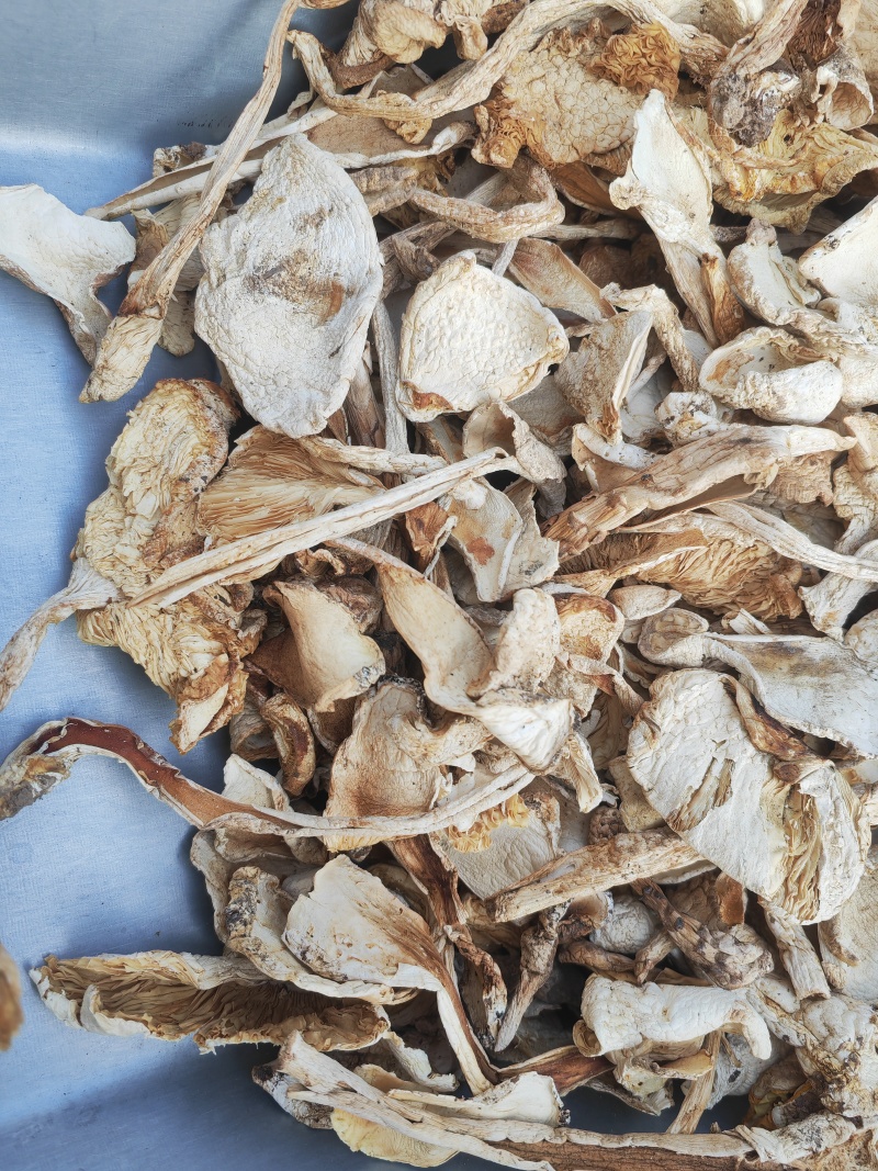 野生鹅蛋菌，手工切片无霉无杂干度好，新品上市数量有限