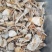 野生鹅蛋菌，手工切片无霉无杂干度好，新品上市数量有限