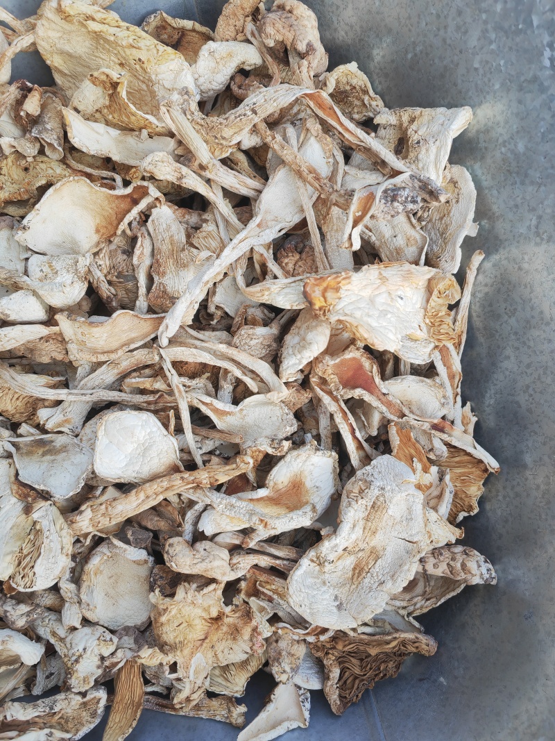 野生鹅蛋菌，手工切片无霉无杂干度好，新品上市数量有限