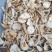 野生鹅蛋菌，手工切片无霉无杂干度好，新品上市数量有限