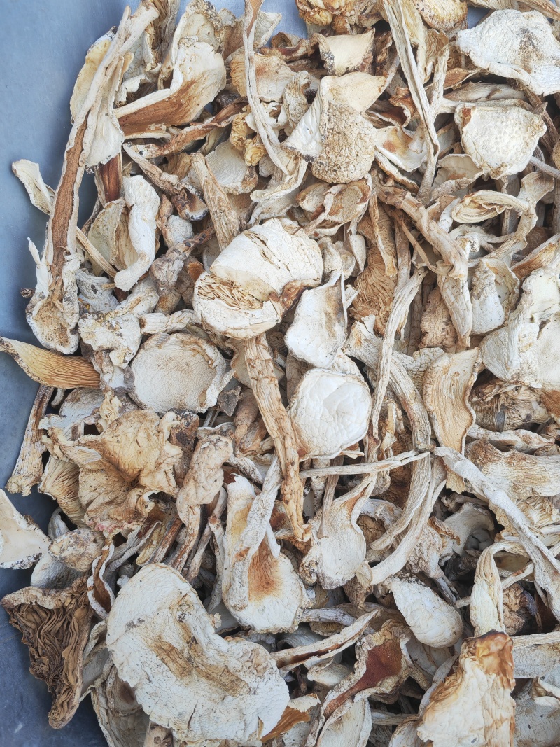 野生鹅蛋菌，手工切片无霉无杂干度好，新品上市数量有限