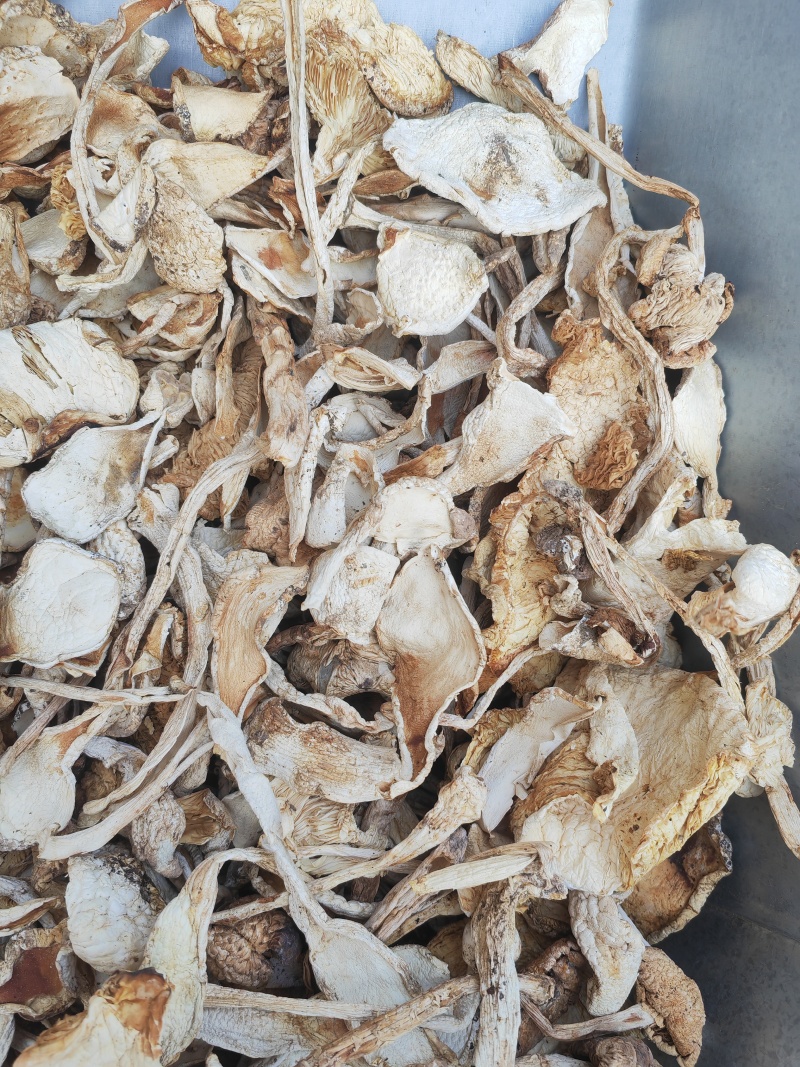 野生鹅蛋菌，手工切片无霉无杂干度好，新品上市数量有限