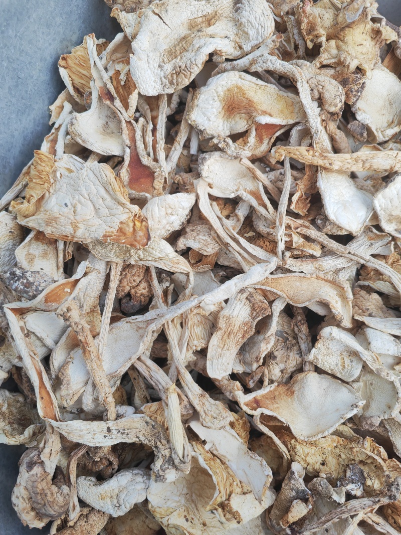 野生鹅蛋菌，手工切片无霉无杂干度好，新品上市数量有限