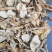 野生鹅蛋菌，手工切片无霉无杂干度好，新品上市数量有限
