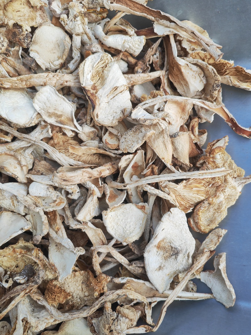 野生鹅蛋菌，手工切片无霉无杂干度好，新品上市数量有限