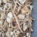 野生鹅蛋菌，手工切片无霉无杂干度好，新品上市数量有限