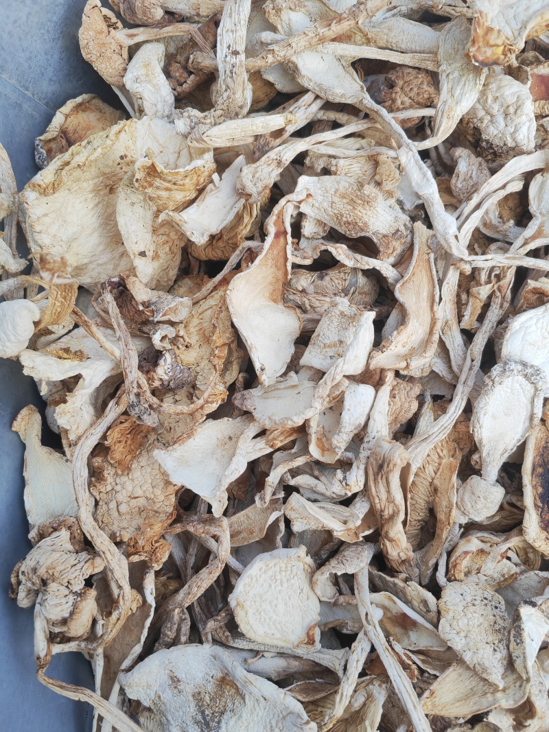 野生鹅蛋菌，手工切片无霉无杂干度好，新品上市数量有限