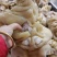 熟牛蹄