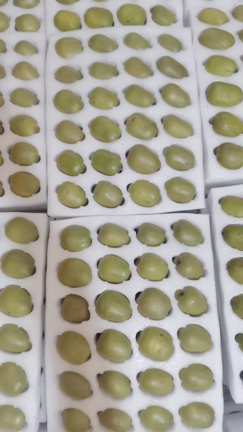 苍溪红心猕猴桃，农家自种。高档礼盒装，支持一件代发