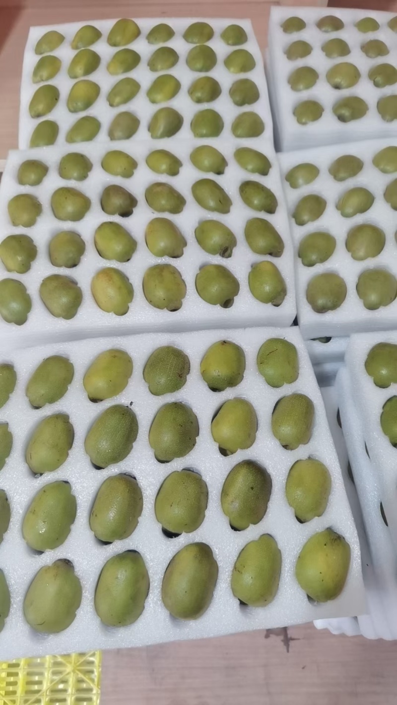 苍溪红心猕猴桃，农家自种高档礼盒装装好发货，支持一件代发