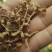 优质金银花，又名二花