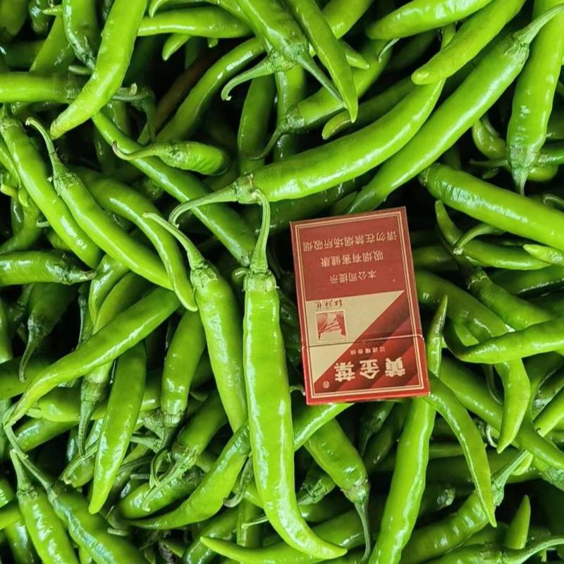 热销，精品杭椒产地直供，一手货源，品质保证。