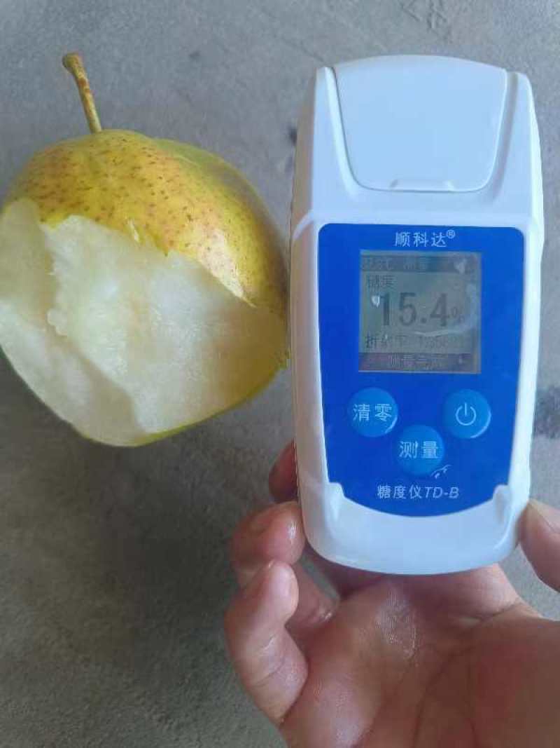 玉露香梨