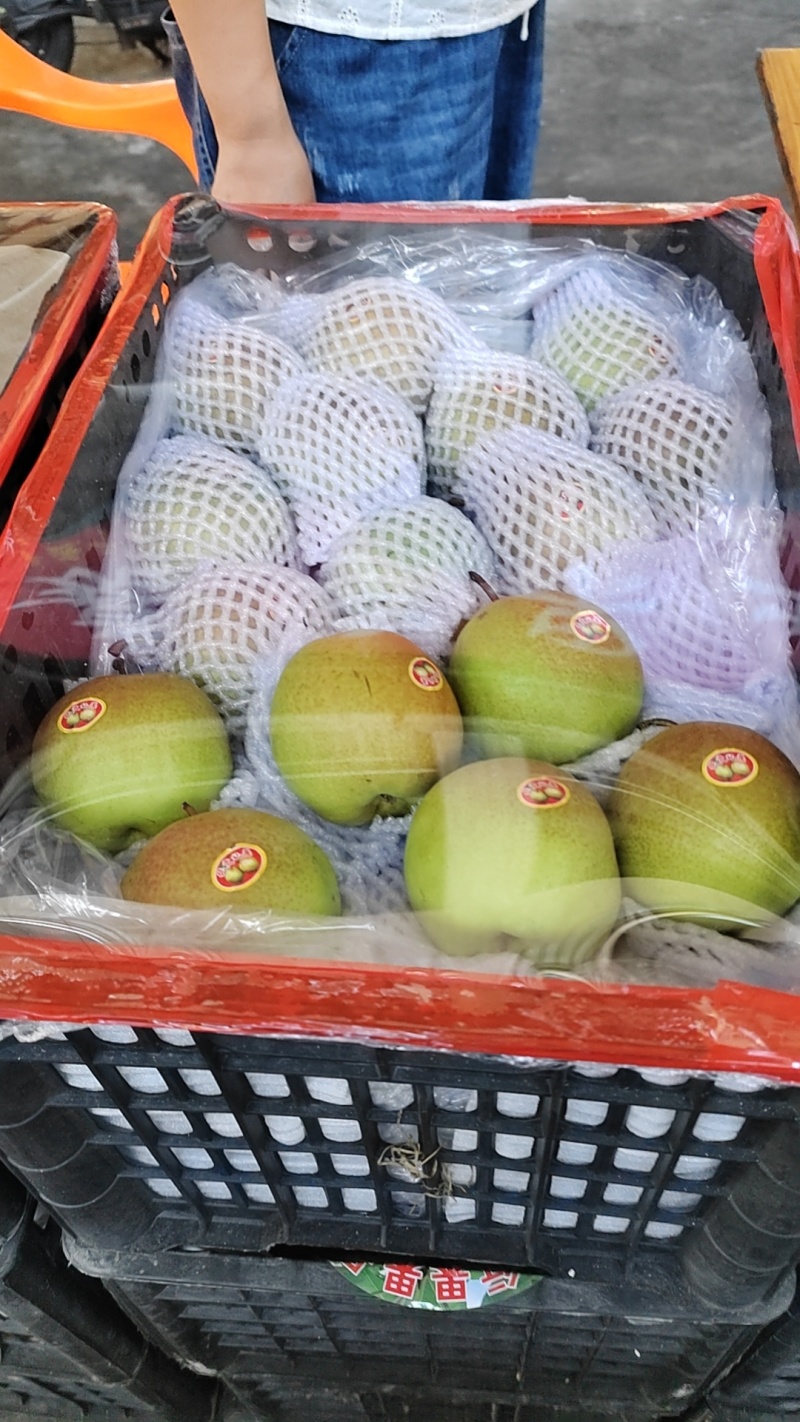 玉露香梨