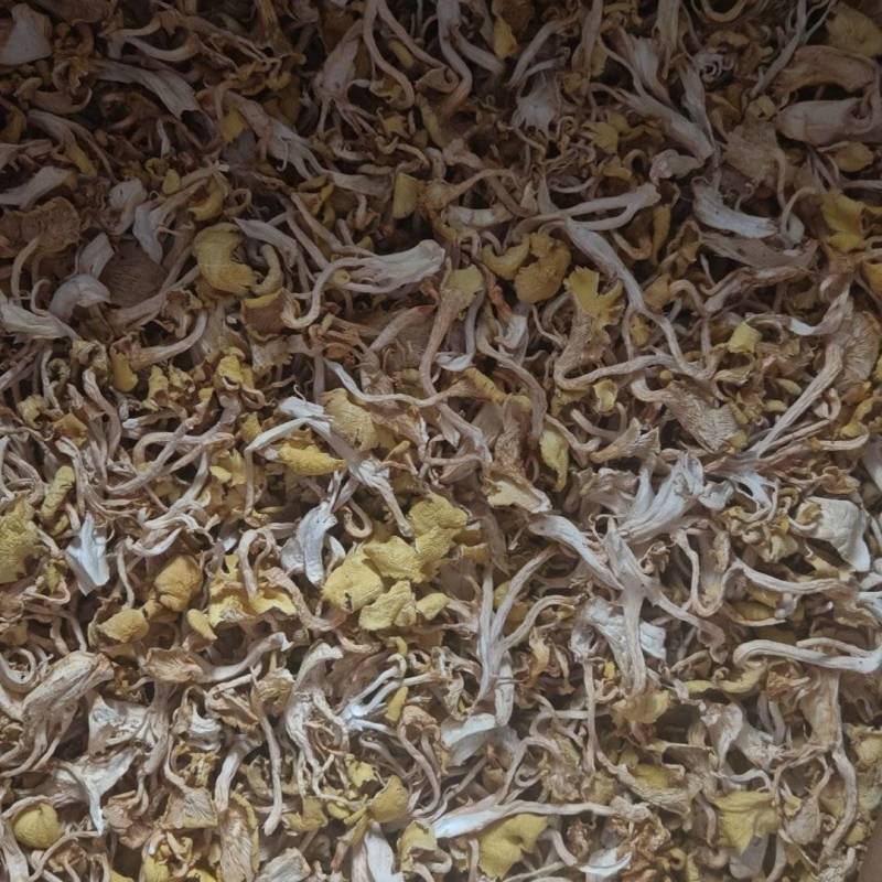 鸡油菌烘干货一箱起
