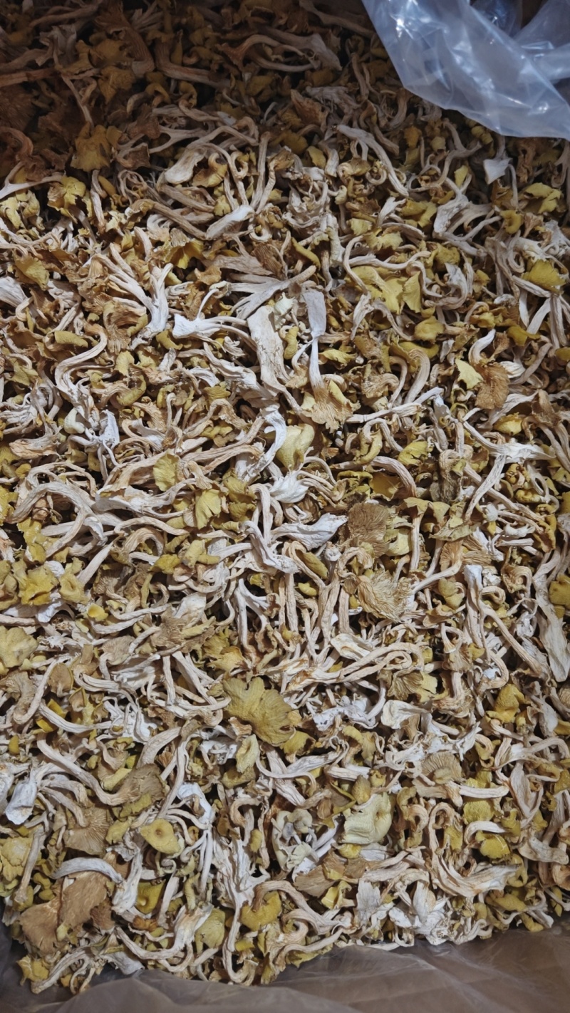 鸡油菌烘干货一箱起