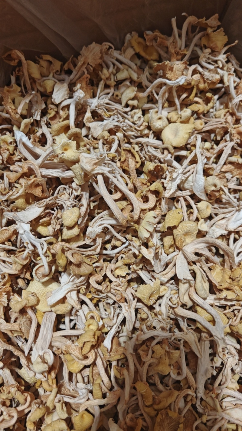 鸡油菌烘干货一箱起