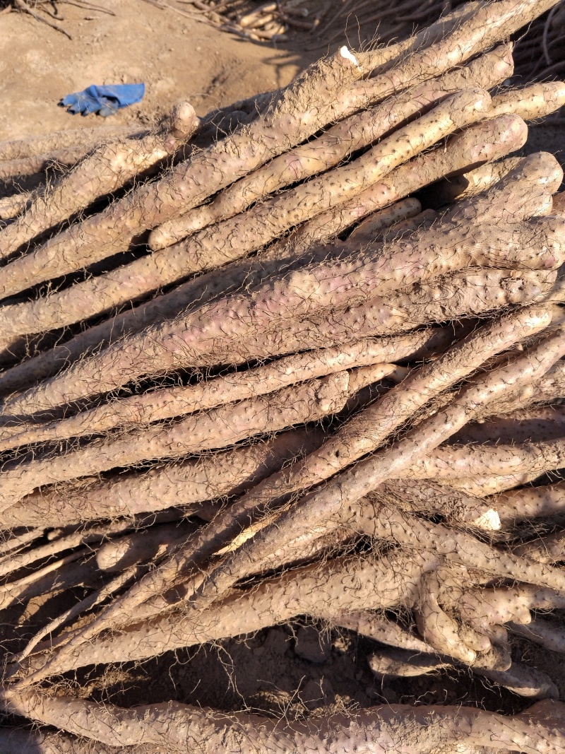 山药山药片怀山药片厂家直销各种花茶批发诚信经营