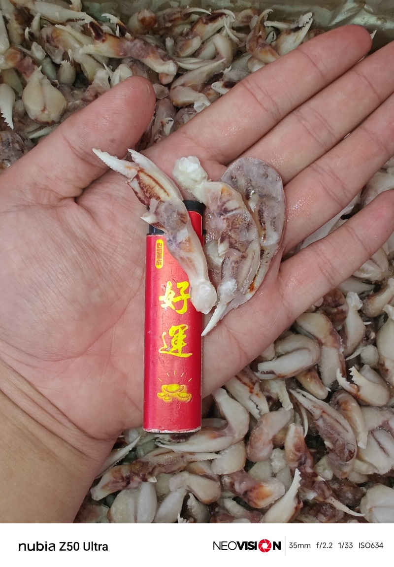江苏连云港沙蟹脚沙蟹钳全国发货捞汁蟹脚捞汁原料
