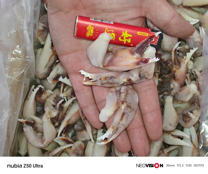 江苏连云港沙蟹脚沙蟹钳全国发货捞汁蟹脚捞汁原料