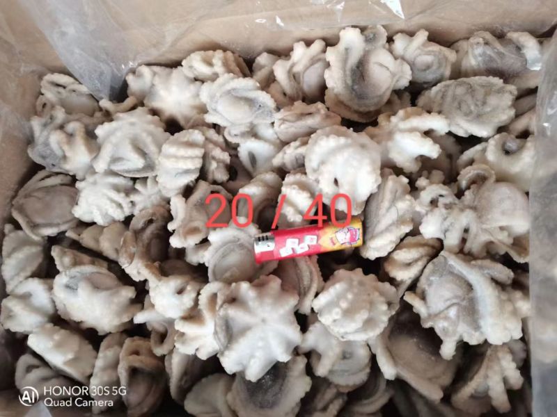 翻花去内脏八爪鱼常年有货，规格货质量好性价比高
