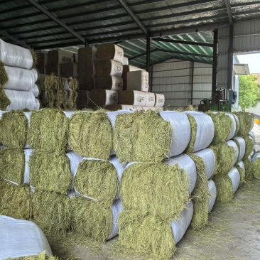 羊草马草牛草特等羊草继续入库，新收割二茬草，颜色绿，叶