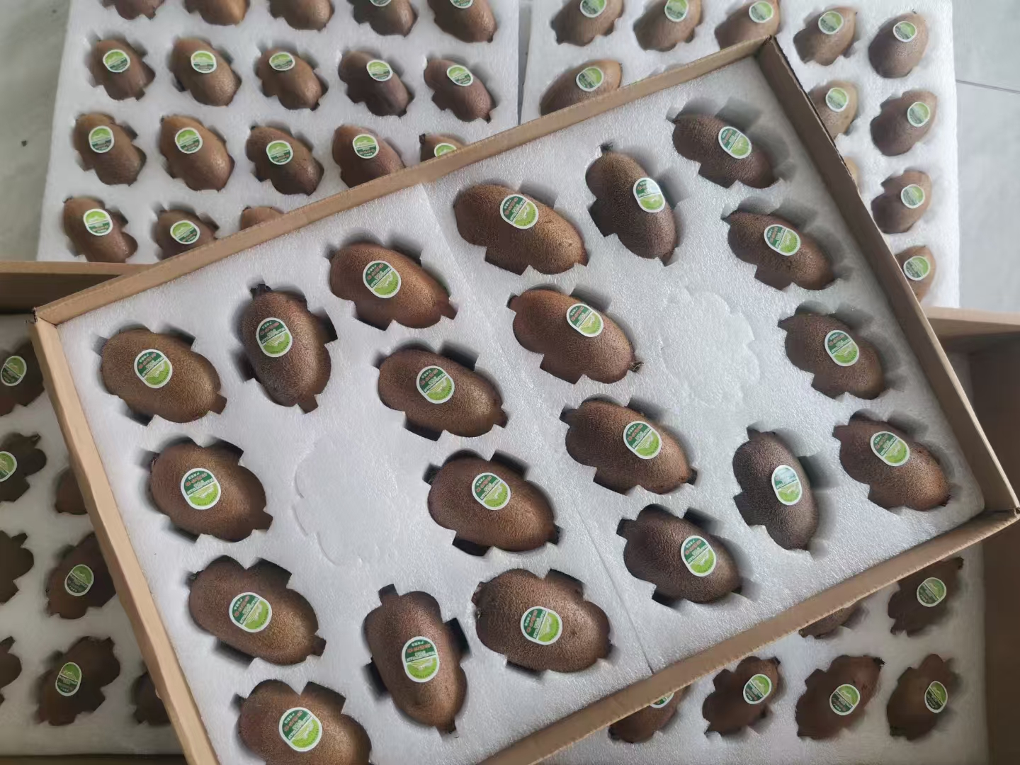 翠香猕猴桃果实与种子特写