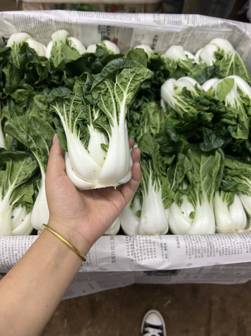 奶白菜