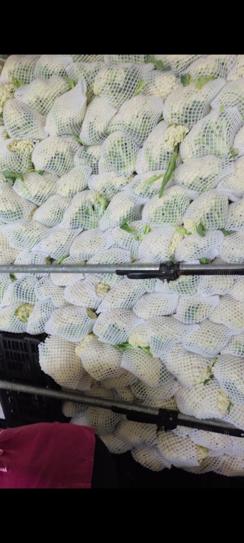 大量供应精品花菜，质量好，价格美丽有需要的联系我！