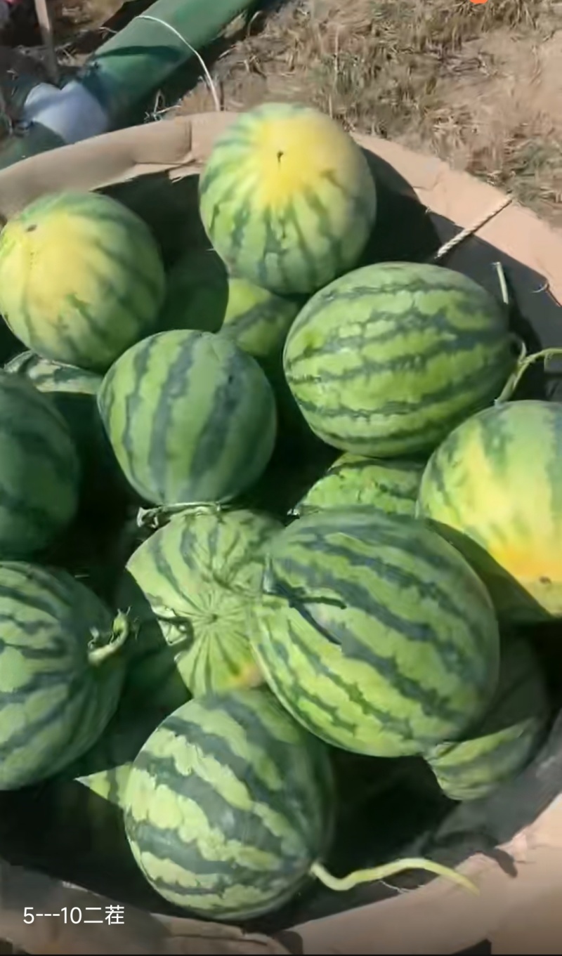 麒麟二茬