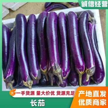 广东徐闻县紫长茄市场超市电商