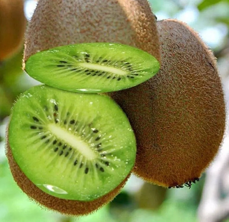 猕猴桃果肉特写图