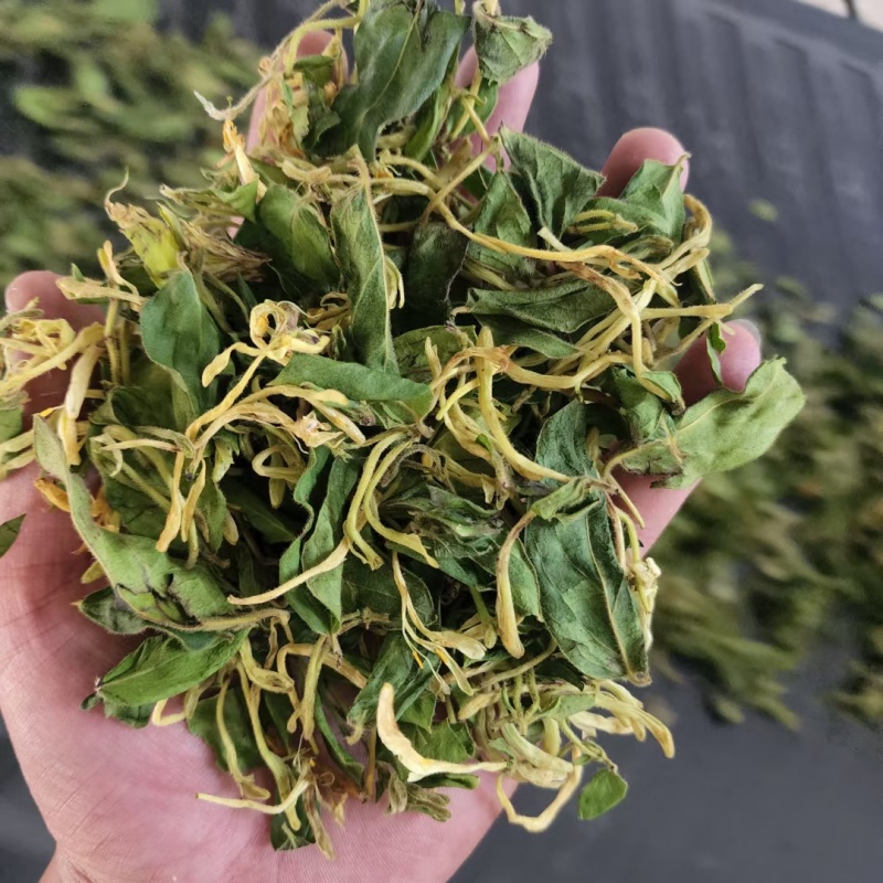 山东金银花包全检农残常年收购可按需供货