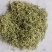 山东金银花包全检农残常年收购可按需供货