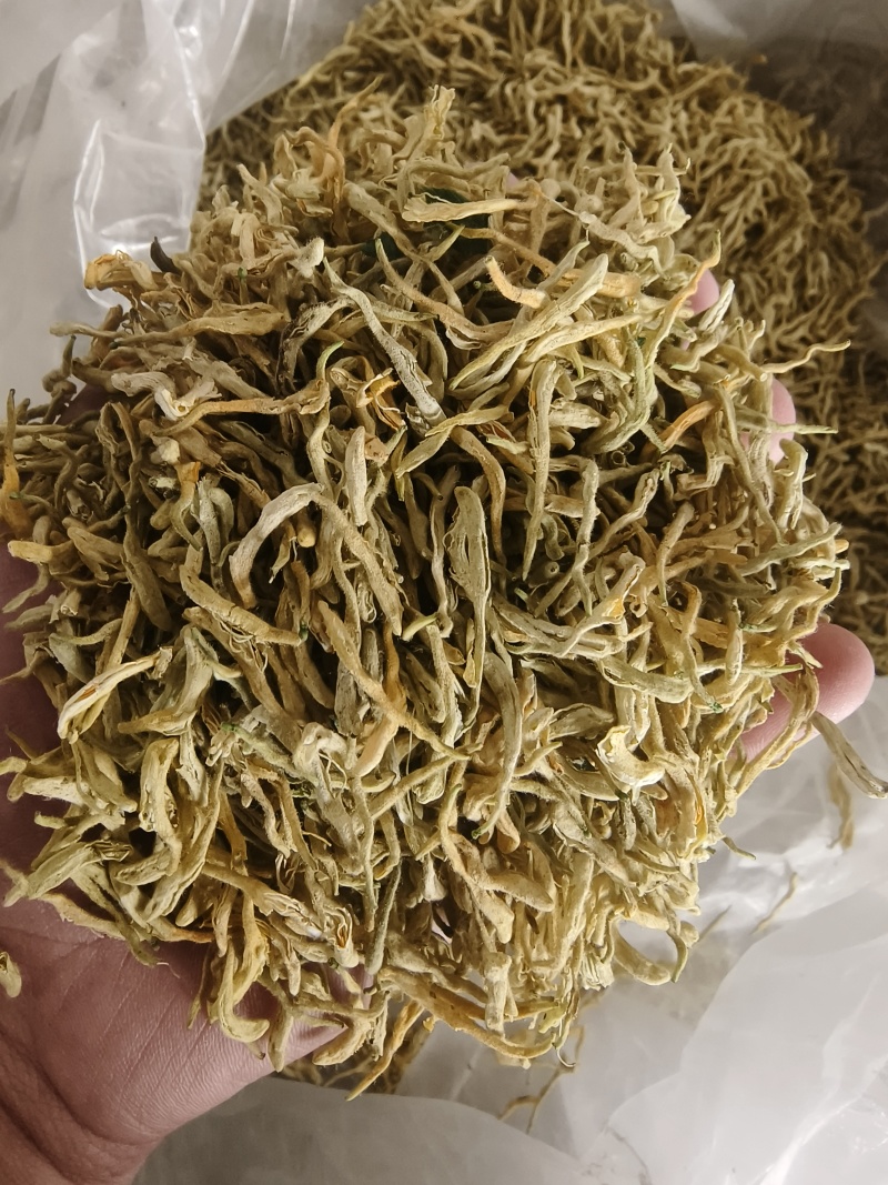 山东金银花包全检农残常年收购可按需供货