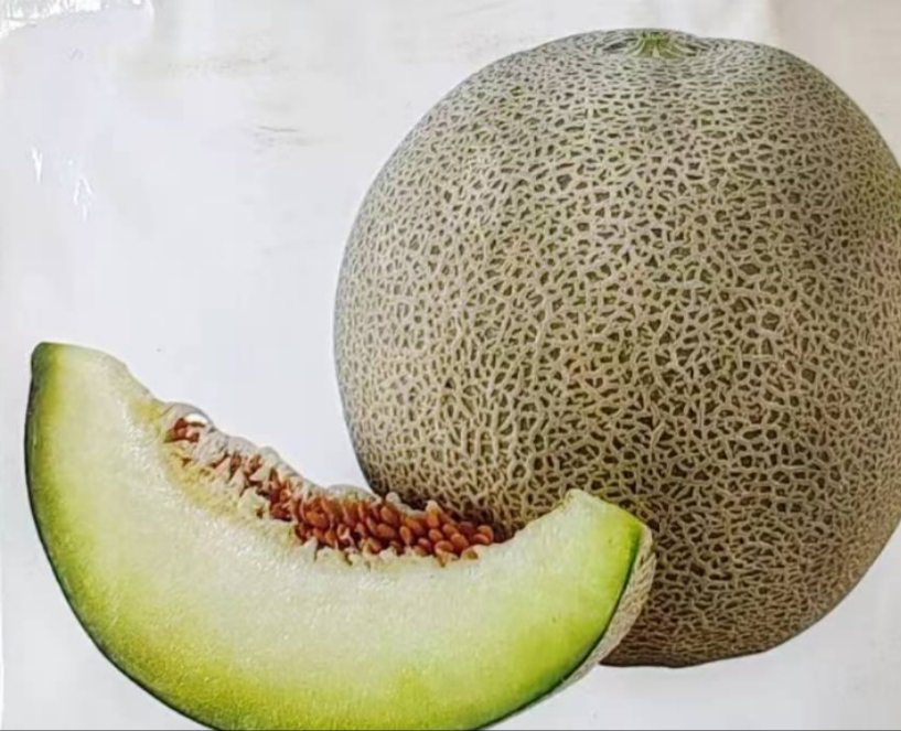 哈密瓜特写展示其独特的网纹表皮