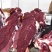 牛后腿肉纯干无水