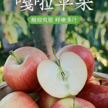 辽宁葫芦岛嘎啦苹果大量上市，对接全国商超，支持视频看货