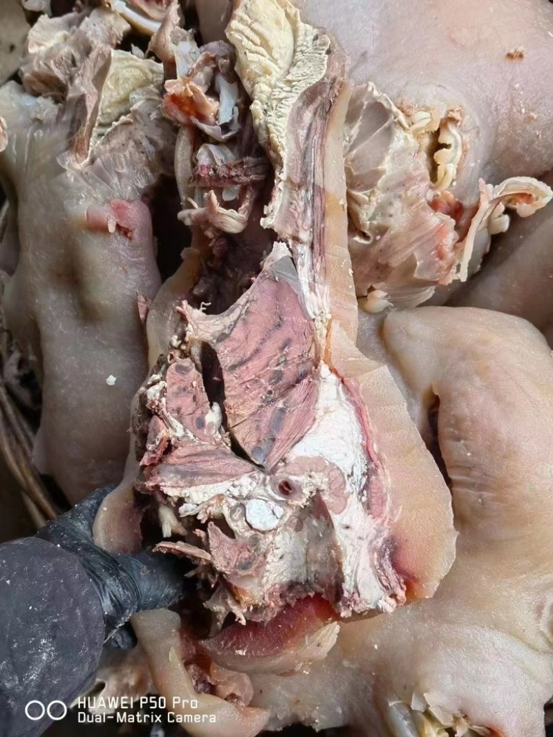 全熟牛头肉