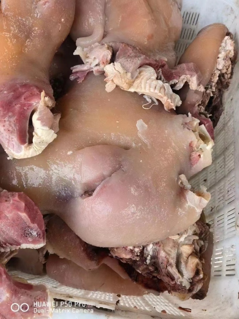 全熟牛头肉