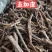 五加皮/精选好货/批发兼零售，量大可商议，全国包邮