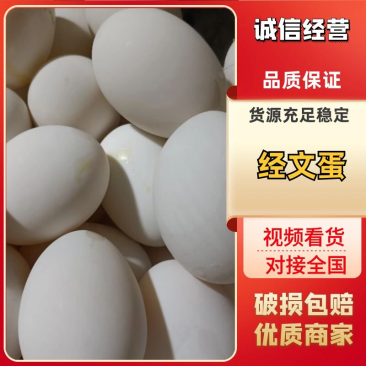 【平价】长期供应大白鸭蛋（经文蛋）各种鲜破蛋量大从优