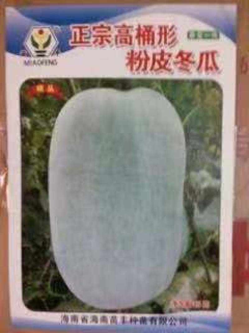 广东桶瓜，粉皮冬瓜种子，白霜抗病产量高包邮费
