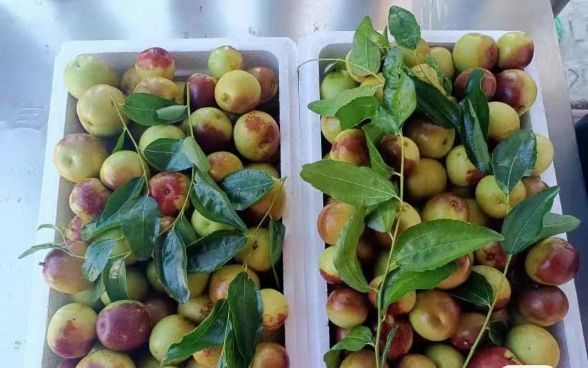 鲜枣美食成品展示