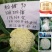 绿亨松甜90松花菜种子中晚熟花菜花椰菜种籽花球扁圆松大花