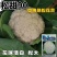 绿亨松甜90松花菜种子中晚熟花菜花椰菜种籽花球扁圆松大花
