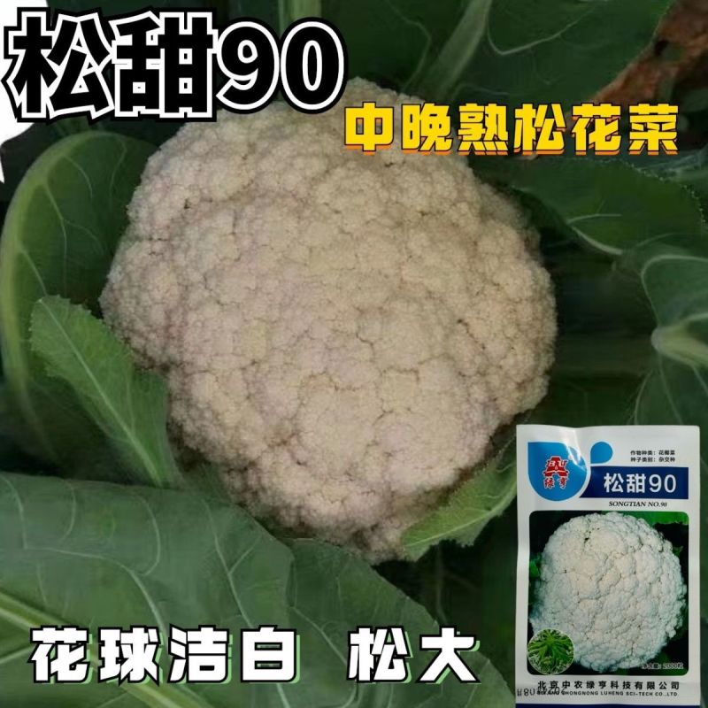 绿亨松甜90松花菜种子中晚熟花菜花椰菜种籽花球扁圆松大花