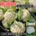 绿亨松甜85松花菜种子中晚熟花菜花椰菜种籽花球扁圆松大花