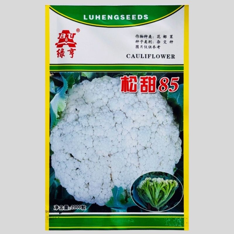 绿亨松甜85松花菜种子中晚熟花菜花椰菜种籽花球扁圆松大花