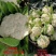 绿亨松甜85松花菜种子中晚熟花菜花椰菜种籽花球扁圆松大花